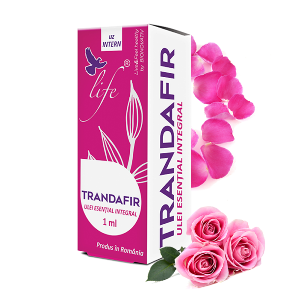 TRANDAFIR1-ml