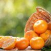 Mandarin-roșu - ingredient în RELAXARE – combinație de uleiuri esențiale
